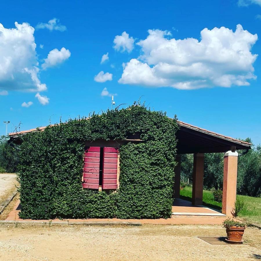 Villa Tenuta Agricola Fraschiera Massa Marittima Exterior foto