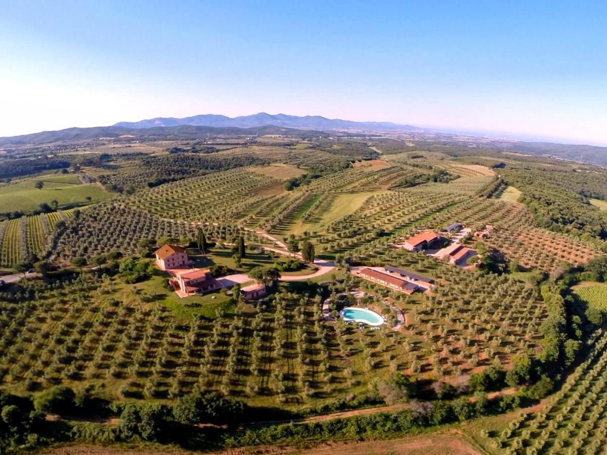 Villa Tenuta Agricola Fraschiera Massa Marittima Exterior foto