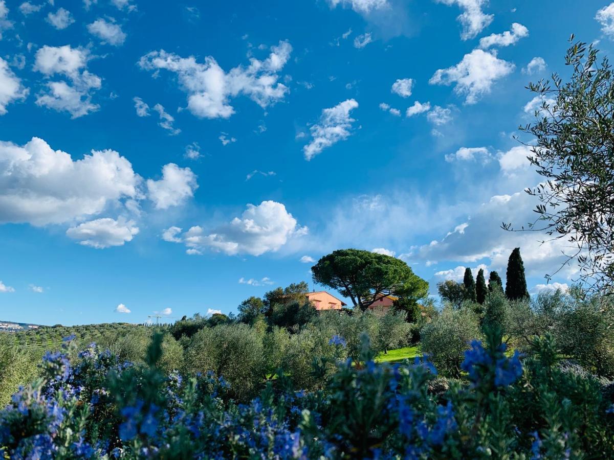 Villa Tenuta Agricola Fraschiera Massa Marittima Exterior foto