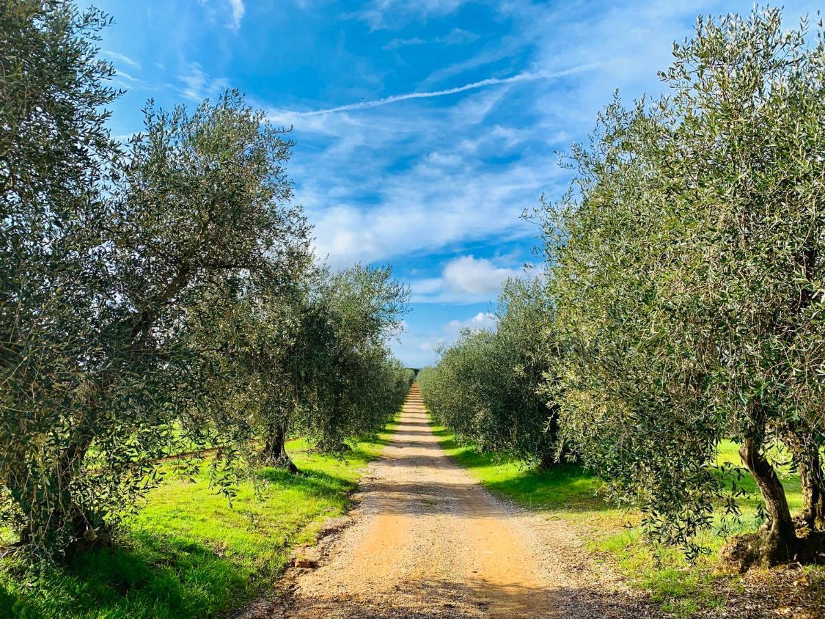Villa Tenuta Agricola Fraschiera Massa Marittima Exterior foto