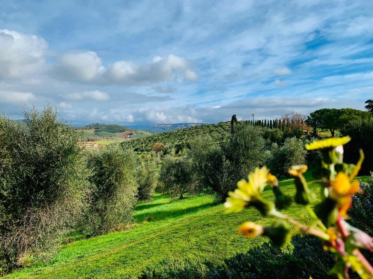 Villa Tenuta Agricola Fraschiera Massa Marittima Exterior foto