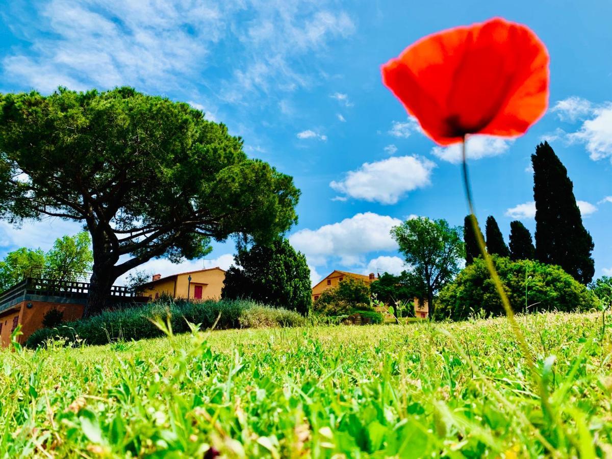 Villa Tenuta Agricola Fraschiera Massa Marittima Exterior foto
